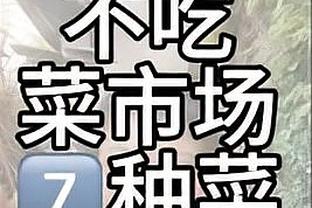 开云全站官网app截图3